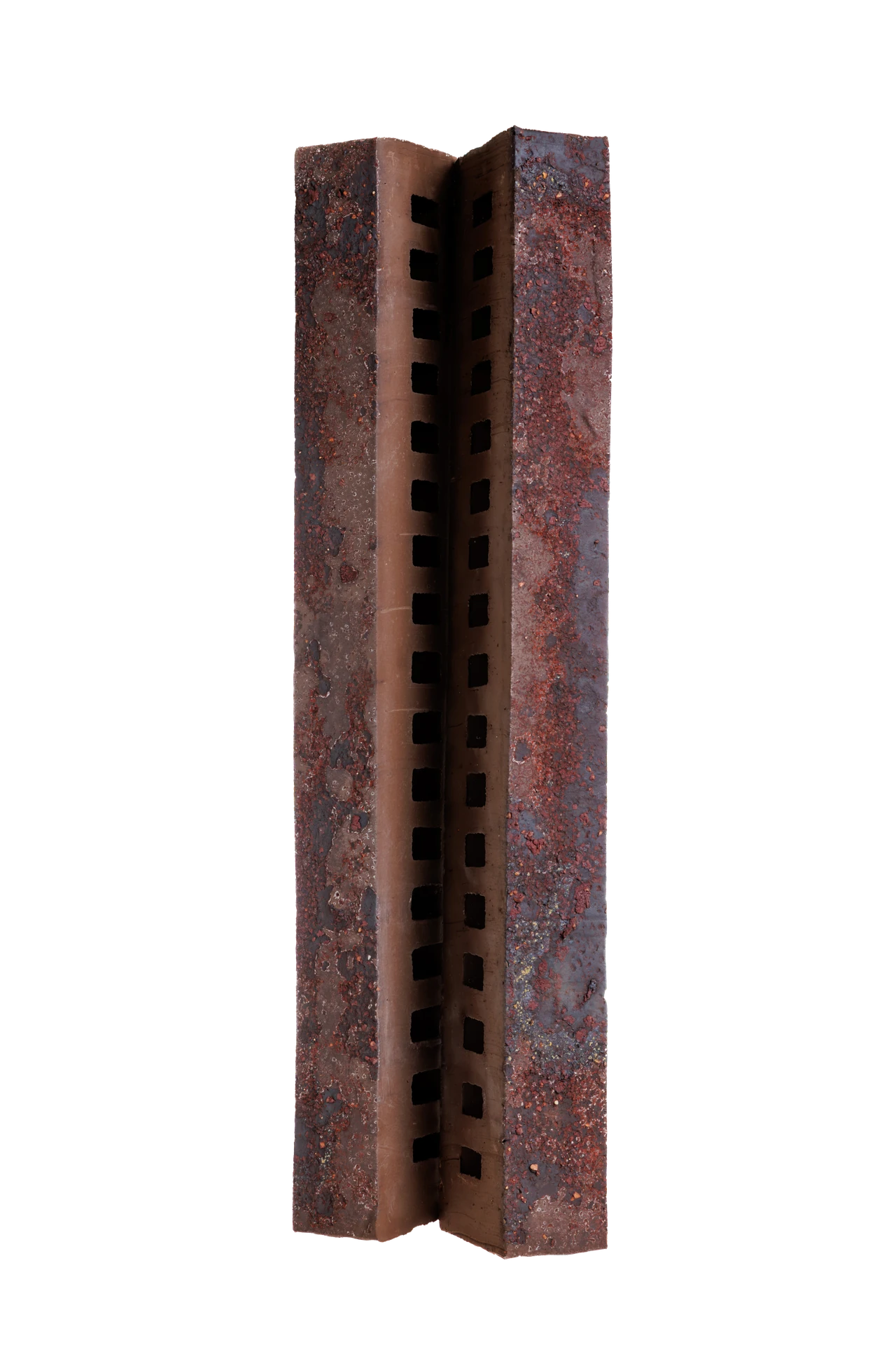 Марс ригель