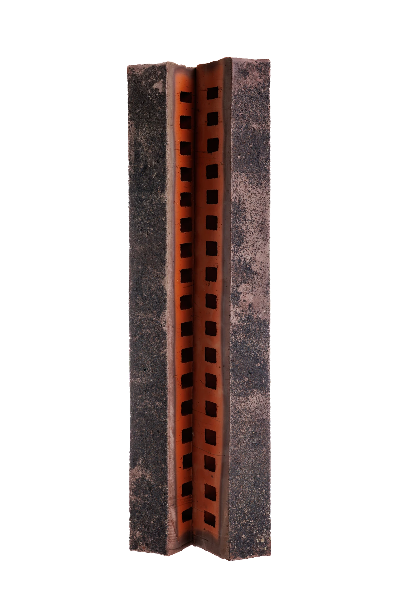 Туман ригель