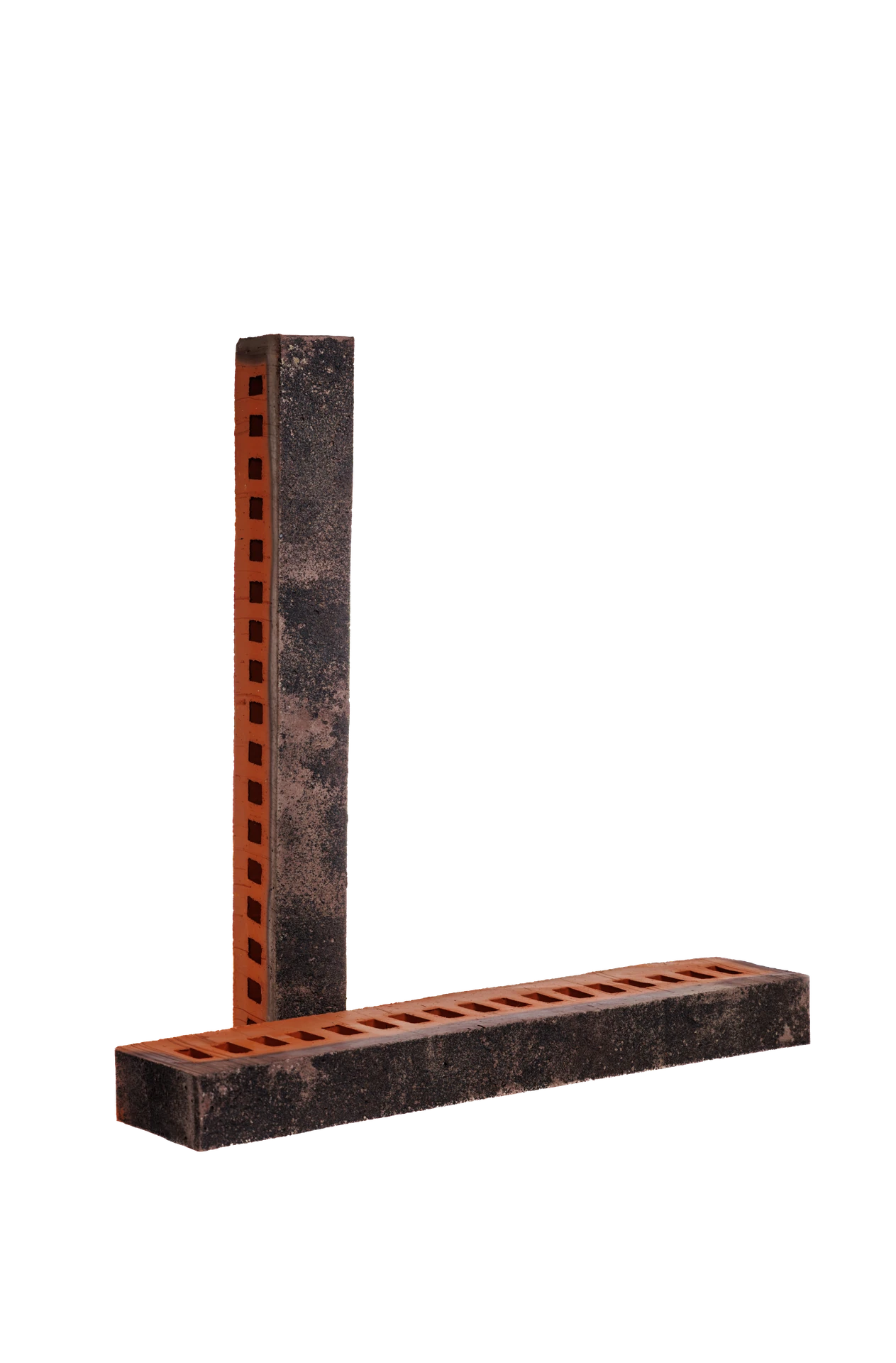 Туман ригель