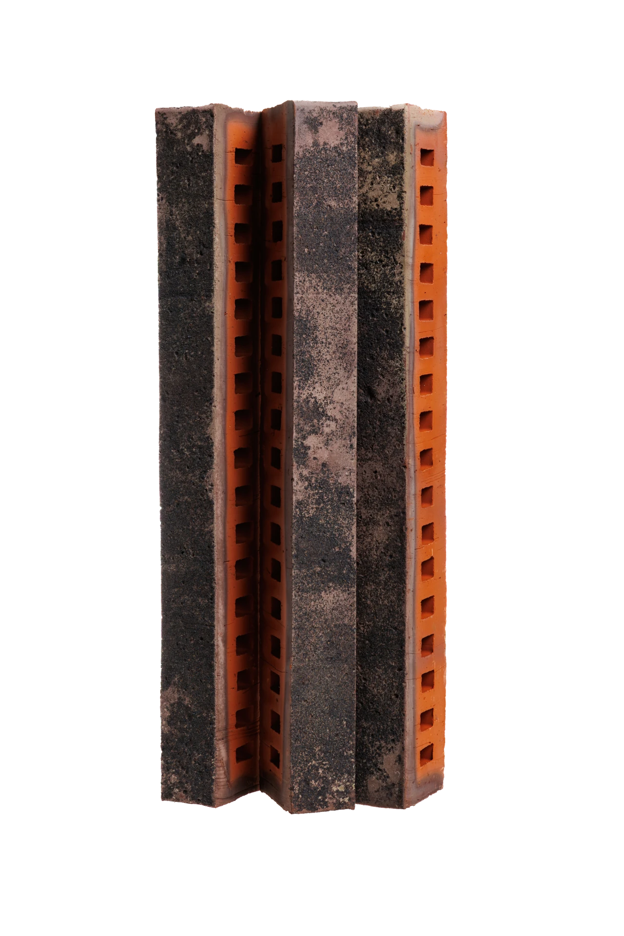 Туман ригель